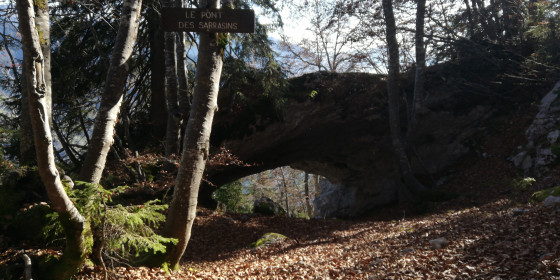 Pont des Sarrasins