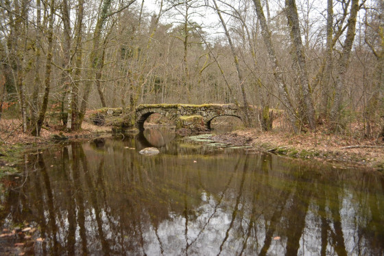 Pont du Châtaignoux