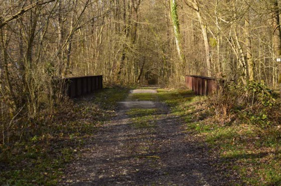 Pont du chemin de fer dit du Güterholz