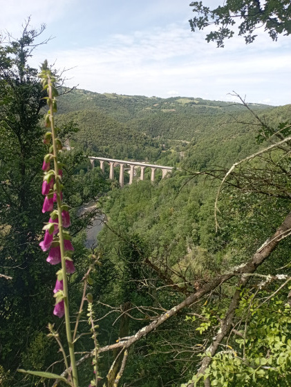 Pont du Duzon