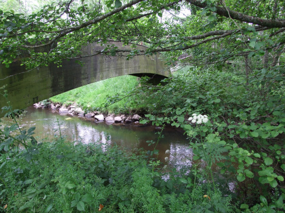 Pont en bois