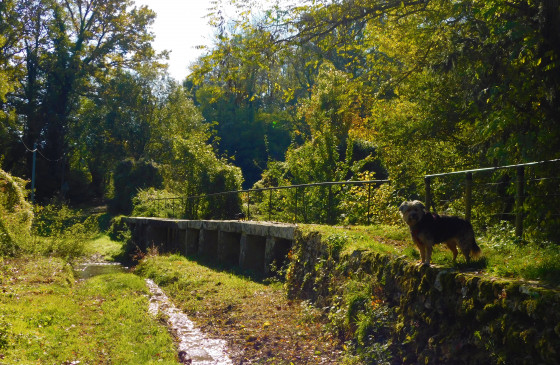 Pont en pierre