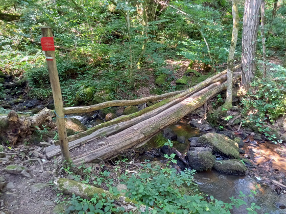 Pont en rondin