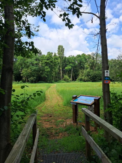 pont entre les deux Ried  (noir et brun)
