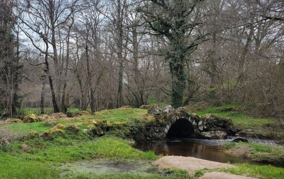 Pont m&eacute;di&eacute;val du Puy Chalard