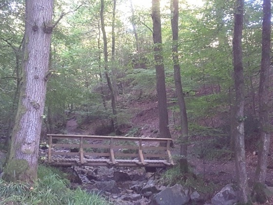 Pont Ninglinspo