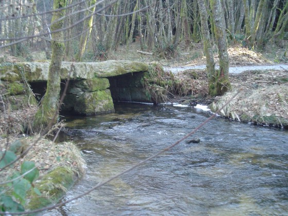 Pont-planche