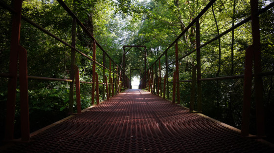 Pont Renaud