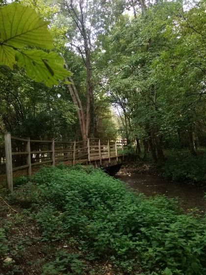 Pont sur la Bièvre