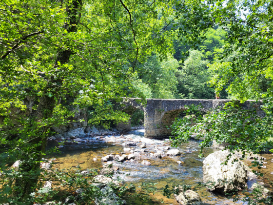 Pont sur la rivière Leitza