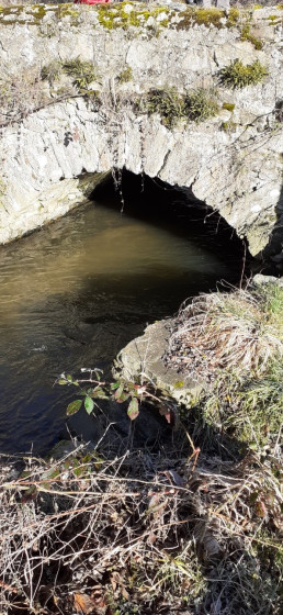 Pont sur le Couzon