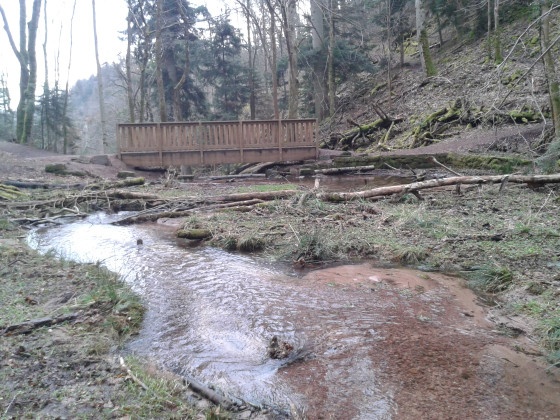 Pont sur le Nideckbaechel