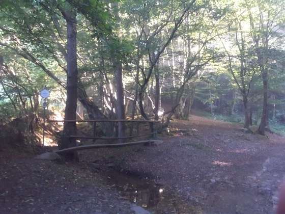 Pont sur le Ninglinspo
