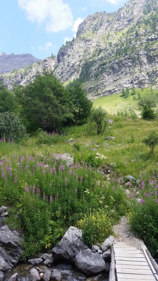 Pont sur le torrent de Blaisil