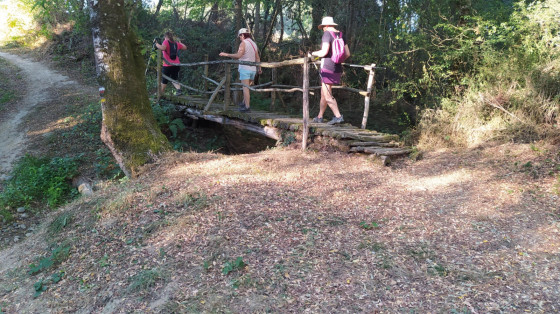 Pont sur le Trujol