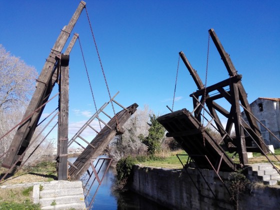 Pont Van Gogh
