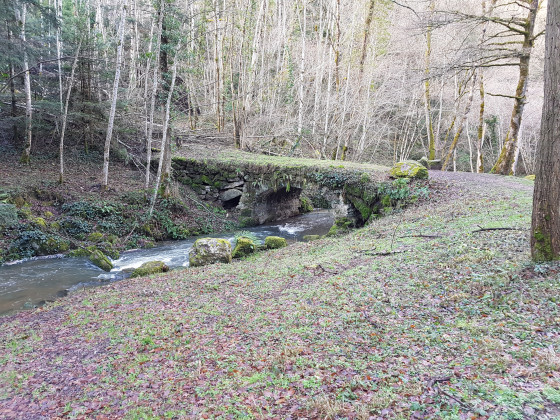 Pont