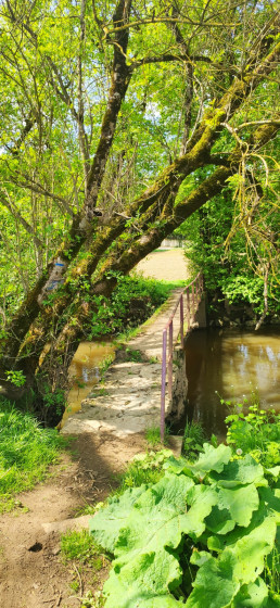 Pont