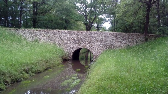 Pont