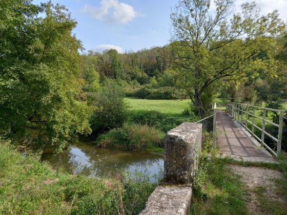 Pont