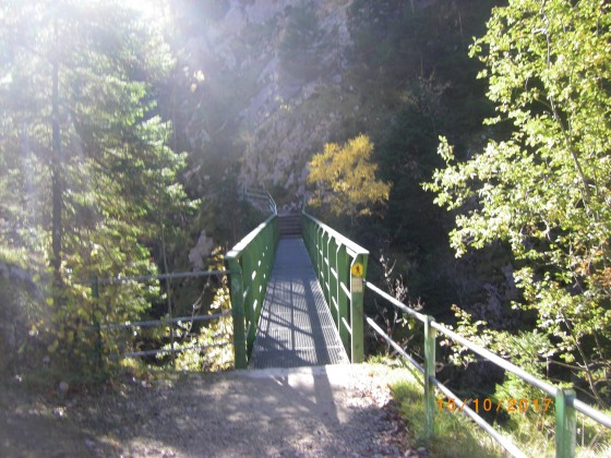 Pont