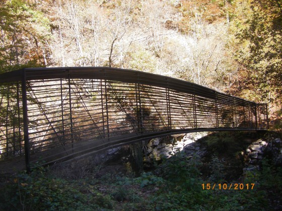 Pont