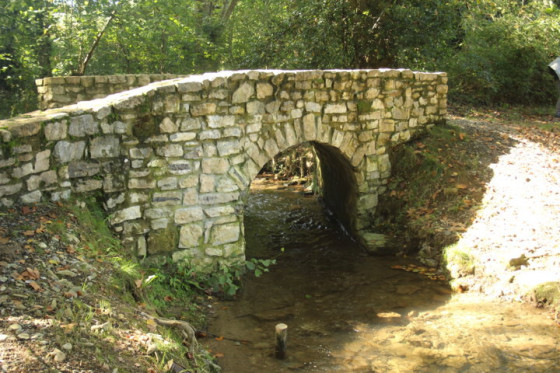 Pont