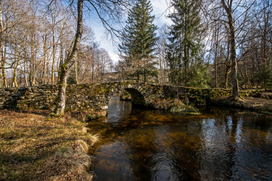 Pont