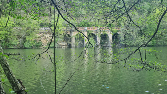 PONT