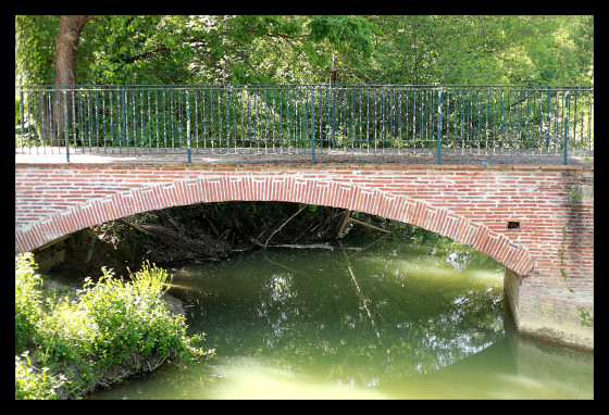 Pont