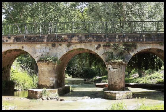 Pont