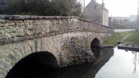 Pont