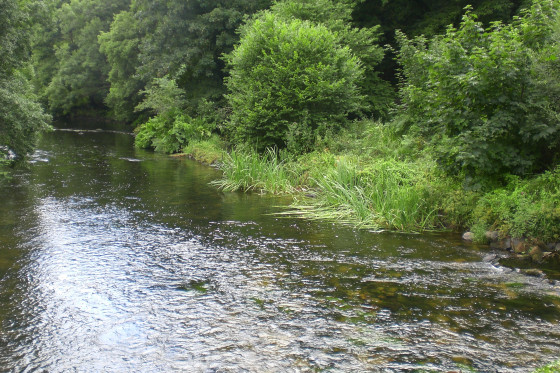 Pontégan, pont et moulin ruiné