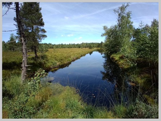 Ponton Canadien