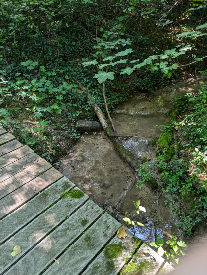 Ponton de bois