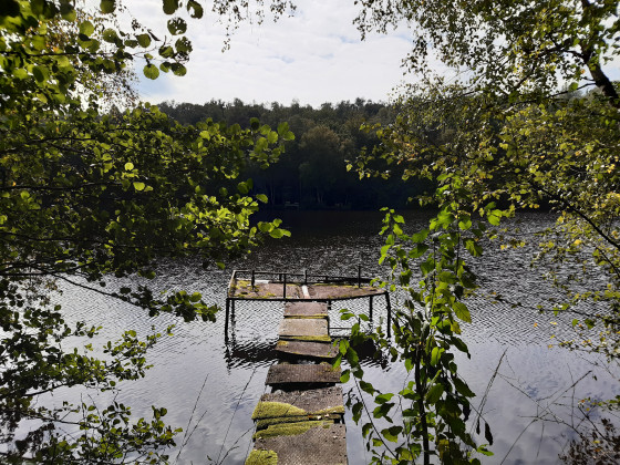 Ponton de p&ecirc;che sur l'Etang de la Vieille Forge