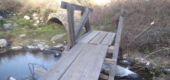 Ponts