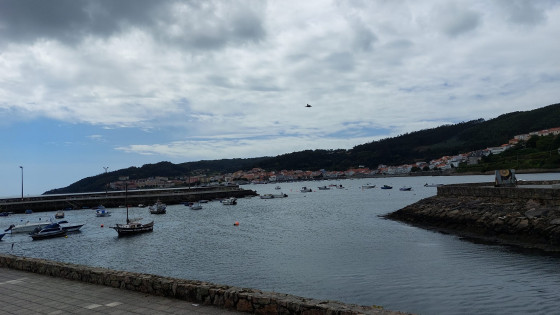 Port de C&eacute;e