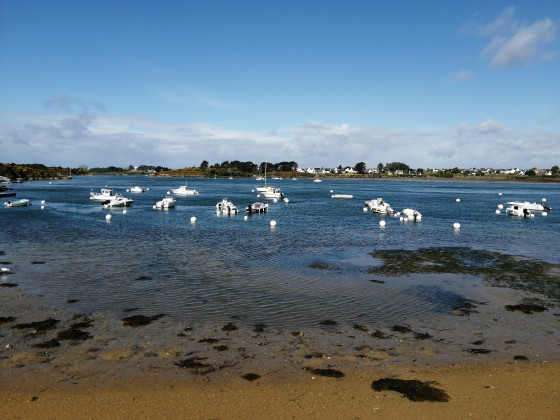 Port Niscop