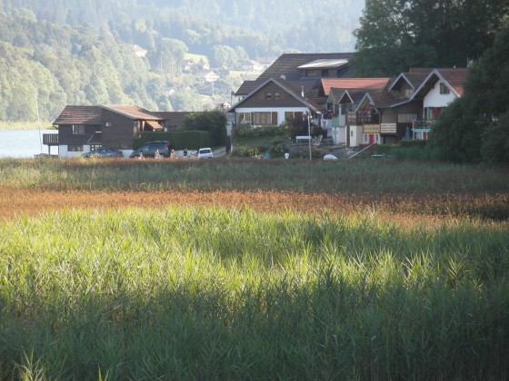 port titi