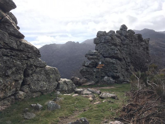 Portail de Roquanduire