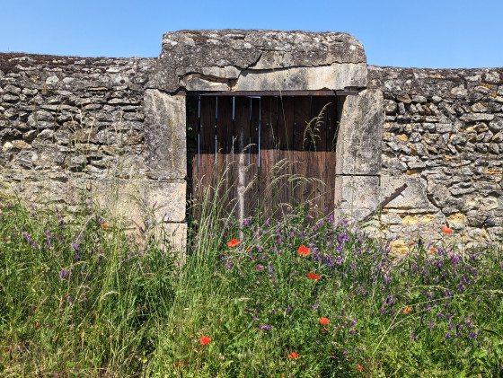 Portail du Ch&acirc;teau de Carry