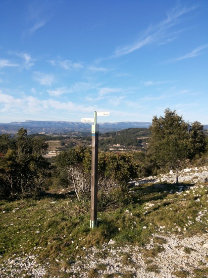 Poteau indicateur WP 4