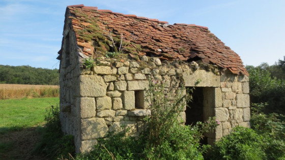Poulailler de Voueize