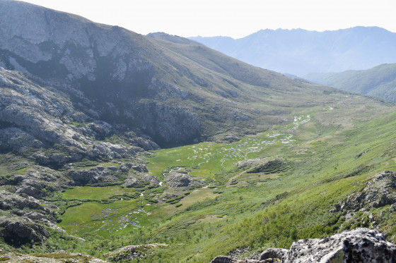 Pozzi vue d'en haut