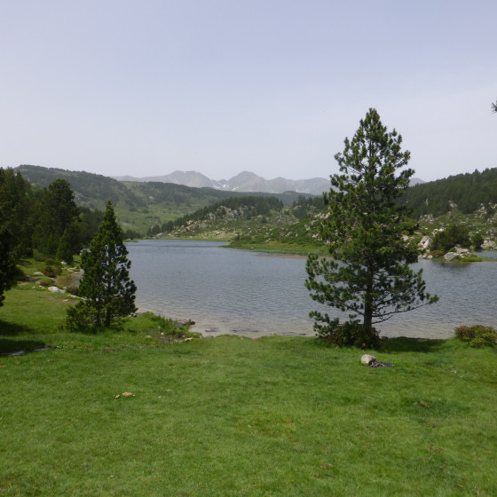 Estany de la Pradella