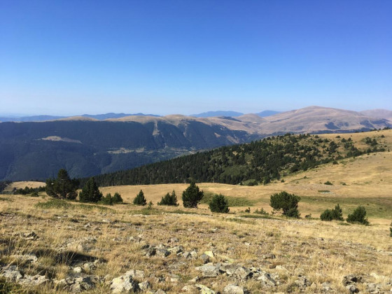 Prairie d'altitude côté espagnol