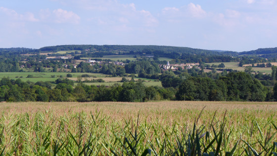 Prairie d'Avezé