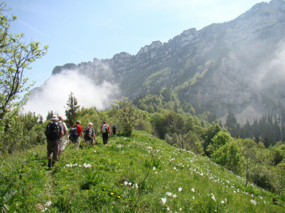 Prairie de Charminelle