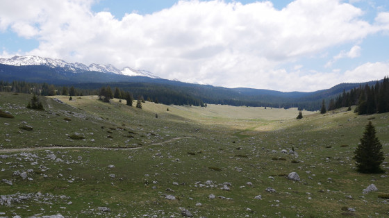Prairie de Darbounouse